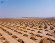 بدء المرحلة الأولى لزراعة مليون شجرة في روضة الخفس جنوب محمية الملك عبدالعزيز