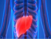 دراسة: تراكم مركبات الفلور العضوية في الجسم يطور سرطان الكبد