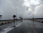 “الأرصاد”: أمطار رعدية على محافظة العرضيات