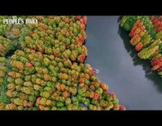 لقطات لأشجار ومراكب متعددة الألوان في الصين