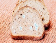 تحذير من فطر شديد الخطورة يختبئ في الخبز