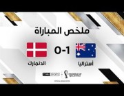 ملخص وهدف مباراة ( الدنمارك 0 – 1 أستراليا ) في كأس العالم