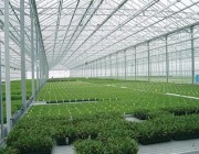 لزيادة الإنتاج.. “الزراعة” تعتمد خطة توسعية لقطاع الثروة النباتية والبيوت المحمية