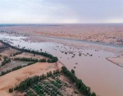 وادي الرمة يواصل جريانه ويصل إلى شرق محافظة الأسياح (فيديو)