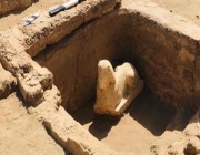 اكتشاف تمثال لـ “أبو الهول” جنوبي مصر