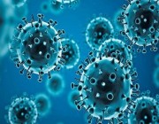 الهند تسجل 12193 إصابة جديدة بفيروس كورونا المستجد