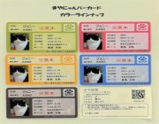 بطاقة هوية للقطط الأليفة باليابان
