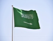 الهيئة السعودية للإحصاء: تعداد السكان 32.2 مليون