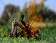 ضبط مخالفين لنظام البيئة لإشعالهما النار في أراضي الغطاء النباتي