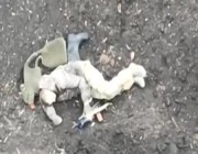 فيديو متداول لجندي روسي يفشل في إسقاط مسيرة أوكرانية.. وينهي حياته بسلاحه