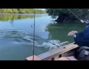 تمساح يهجم على قارب صيد طمعاً في الأسماك