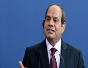 الرئيس المصري يحذر من خطورة الوضع في السودان على دول الجوار