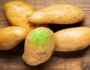 تحذير من البطاطس ذات البقع الخضراء