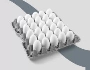 «كرتونة البيض».. اختراع يدر 8 مليارات سنوياً