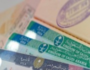 إتاحة "تأشيرة الزيارة الإلكترونية" لـ 8 دول جديدة