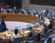 جلسة طارئة لمجلس الأمن حول أوضاع قوات حفظ السلام في مالي