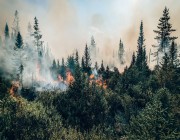حرائق الغابات في كندا تؤدي لانبعاث مليار طن من ثاني أكسيد الكربون