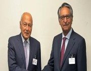 الأمين العام للجامعة العربية يلتقي بوزير خارجية باكستان