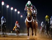 الرياض تحتضن مهرجان بطولة العالم لخيل الجزيرة