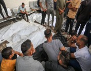 صحة غزة: ارتفاع الشهداء الفلسطينيين إلى 7703 منذ 7 أكتوبر