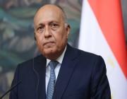 وزير الخارجية المصري: نرفض بشكل قاطع أي محاولات لحل القضية الفلسطينية بوسائل عسكرية أو التهجير