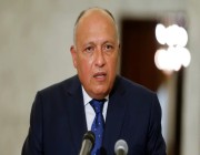 وزير الخارجية المصري: لم نتلق حتى الآن الضوء الأخضر لإدخال المساعدات لغزة