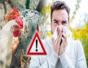 “وقاء” ينبه من موسم “إنفلونزا الطيور”