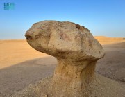 “السَّهلة” تشكيلات صخرية عجيبة ومتحجرات أثرية تلفت الأنظار غرب رفحاء