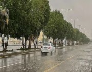 خبير في الطقس والمناخ: أمطار من خفيفة إلى غزيرة على أجزاء متفرقة من مناطق تبوك والجوف والحدود الشمالية