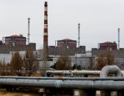 «الطاقة الذرية» تعلن منعها من دخول أقسام في محطة زابوريجيا النووية