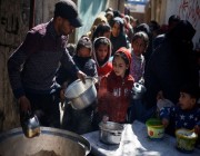 الأمم المتحدة: أكثر من 500 ألف شخص على شفا المجاعة في غزة