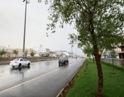 “الأرصاد”: أمطار خفيفة على المدينة المنورة