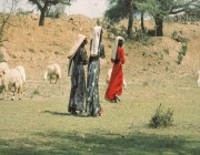 لقطات نادرة لراعيات الغنم في جنوب غرب المملكة بالثمانينيات الميلادية