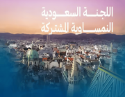 اليوم.. انطلاق أعمال اللجنة السعودية النمساوية المشتركة في دورتها التاسعة بفيينا