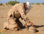 مشروع "مسام" ينتزع 1.254 لغماً من الأراضي اليمنية خلال أسبوع
