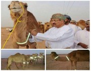 بالصور مبادرة رائعة من سلطنة عُمان