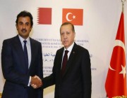 لماذا تقف تركيا وراء قطر ؟ محلل تركي يكشف السر
