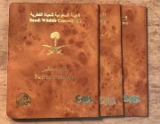 بالصور: تفاصيل جواز سفر الصقر السعودي