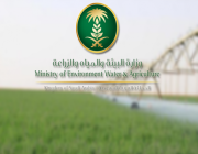 “البيئة” تعلن عن وظائف شاغرة للسعوديين