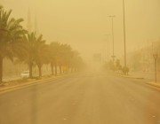 “الأرصاد” تحذر من استمرار الرياح المثيرة للأتربة والغبار على مناطق المملكة