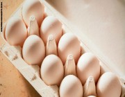 دراسة جديدة: بيضة في اليوم تبعد عنك أمراض القلب