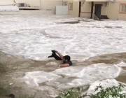 بالفيديو.. شاب يخاطر بحياته لإنقاذ قط محاصر في حي الرصراص