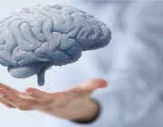 باحثون يطورون خطًا جديدًا للكتابة يساعد على تخزين المعلومات في المخ