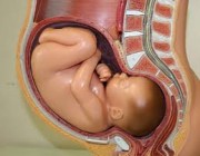 دراسة حديثة: ارتفاع معدل الولادة القيصرية في العالم