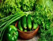الخضراوات الورقية تقلل من تراكم الدهون على الكبد