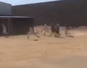 بالفيديو.. مضاربة جماعية بين الطلاب في نجران
