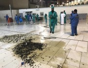 فيديو..”شؤون الحرمين” تخصص 200 عامل لتطهير المسجد الحرام من الحشرات