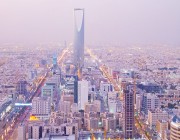 بشهادات دولية.. السعودية على طريق حصد الخير في 2019