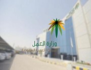 “العمل”: المنشآت الصغيرة ملزمة بتوظيف سعودي واحد في حال عدم تفرغ أصحابها للعمل بها