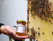 نصائح ثمينة لمن يريدون “العسل الأكثر فائدة”